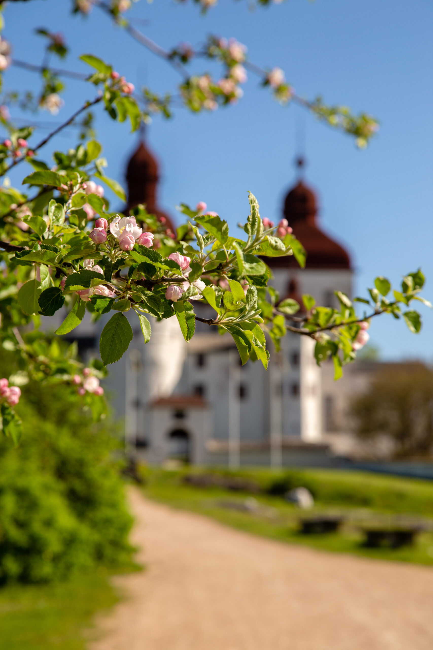 Upplev det hänförande vackra Läckö Slott bild 6