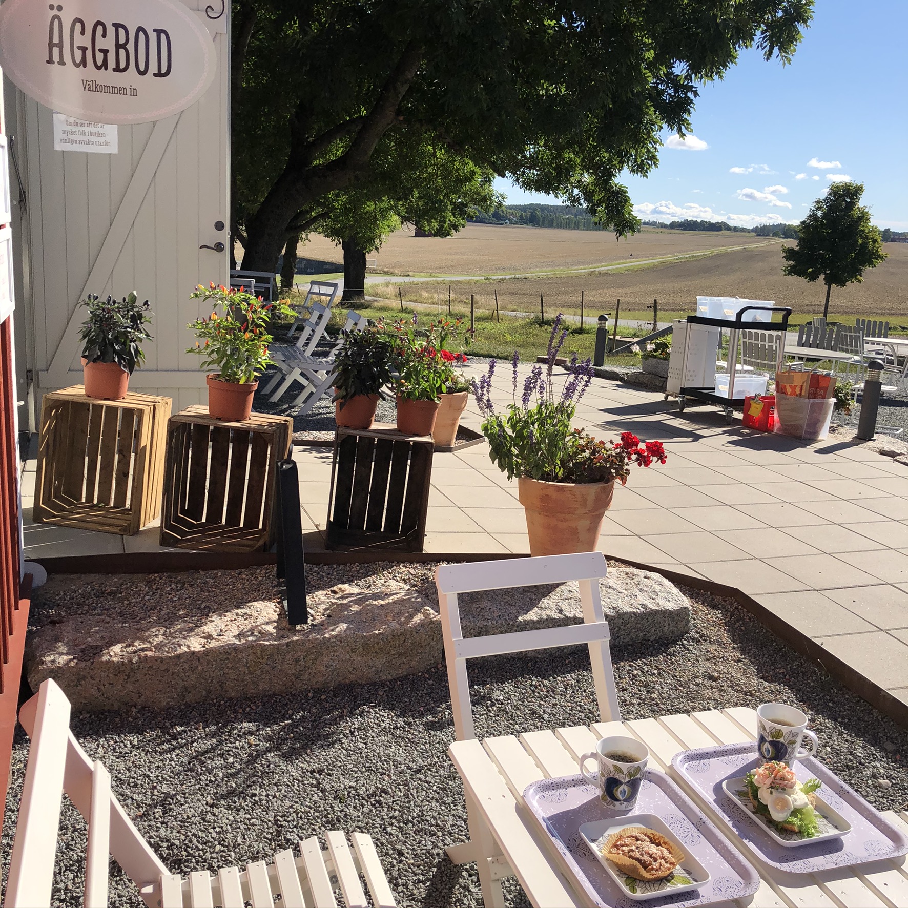 Närodlat på Landsberga Gårdsbutik och Café bild 5