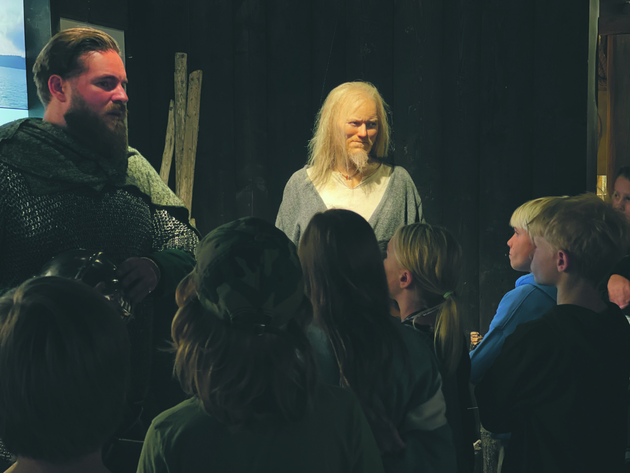 The Viking Museum bild 5