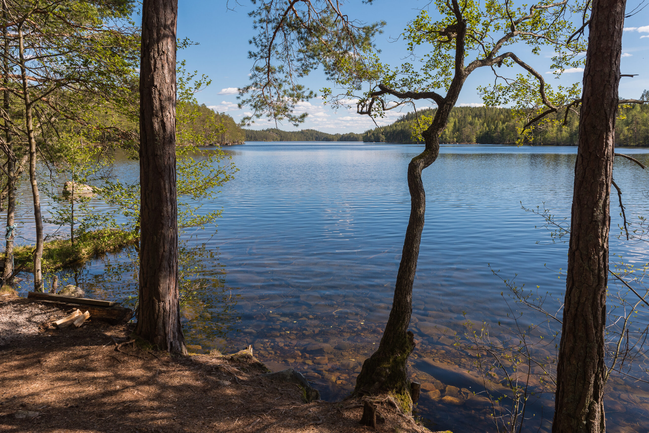 Hotell Sommarhagen: Unika vildmarksboenden i orörd natur bild 6