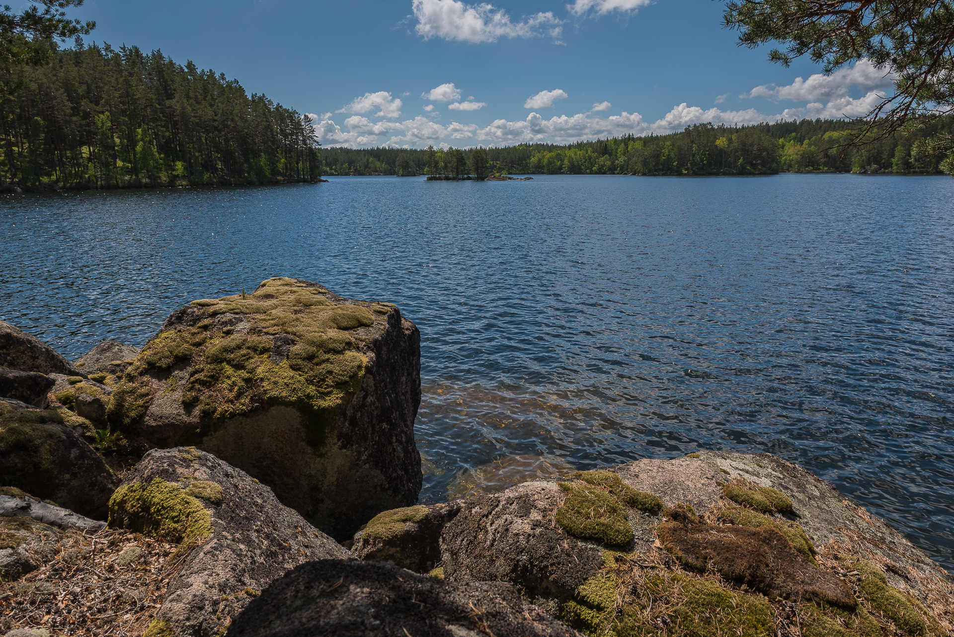 Hotell Sommarhagen: Unika vildmarksboenden i orörd natur bild 8