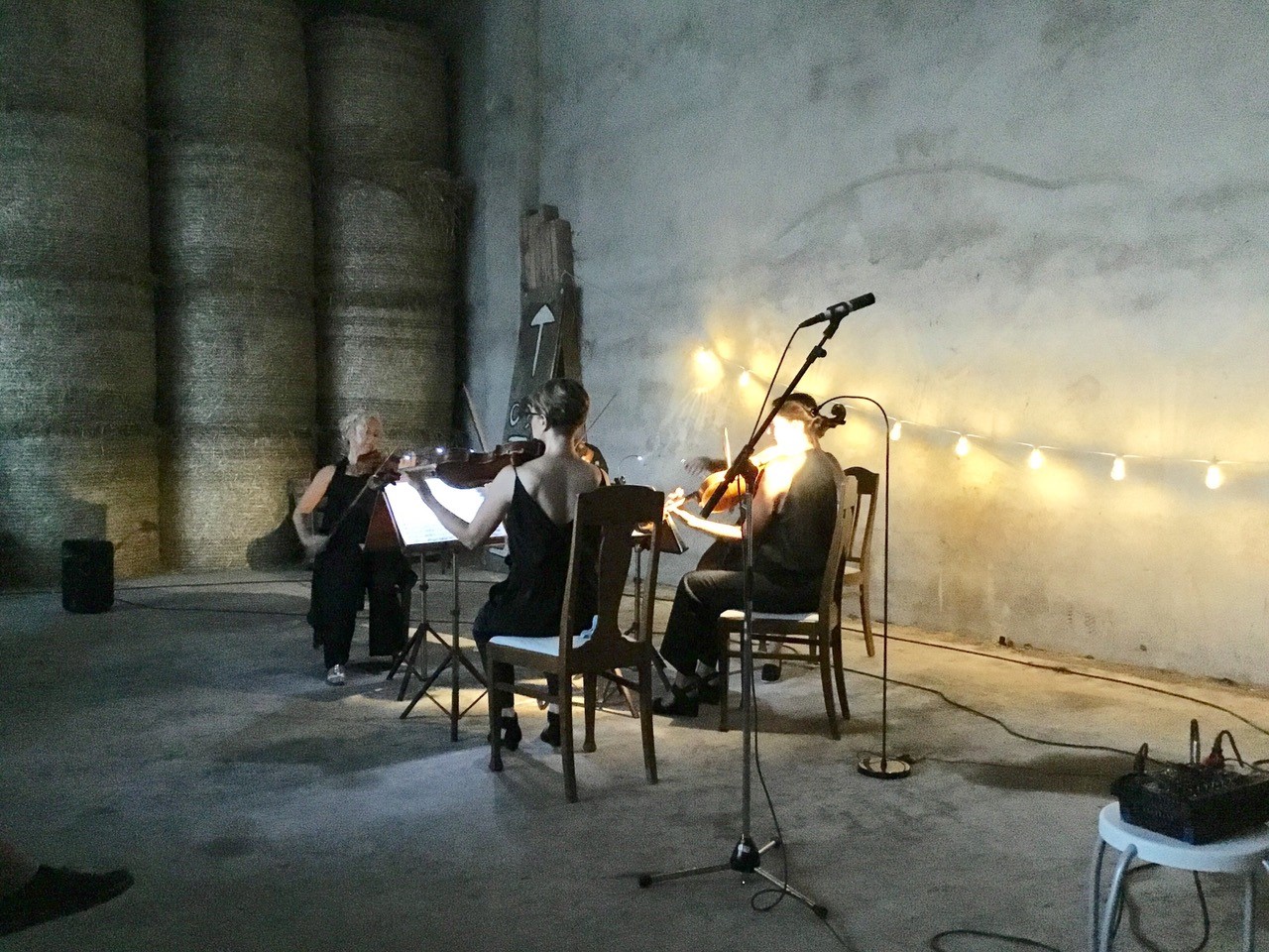 Iréne Sjöberg Lundin – Konstnär, musiker och konsertarrangör bild 6