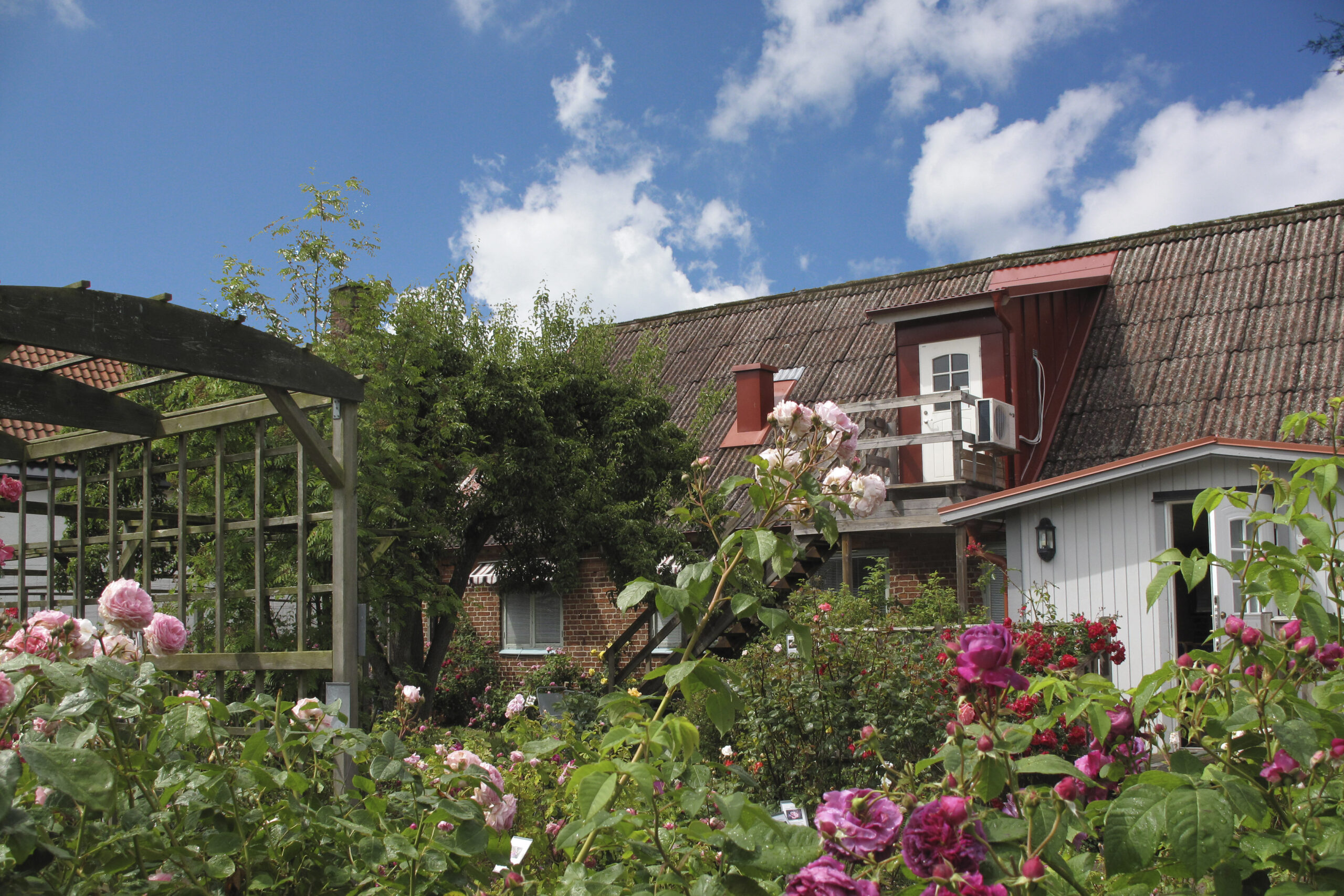 Hotell Turistgården – Rosornas hotell, unikt läge i en gammal köpmansgård, Aspelinska gården bild 5