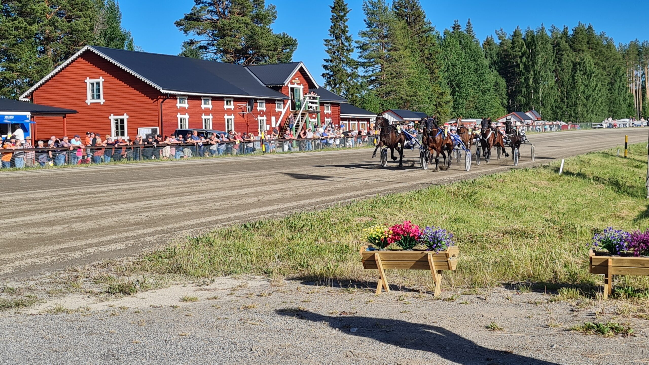 Ett paradis för travfantaster bild 5