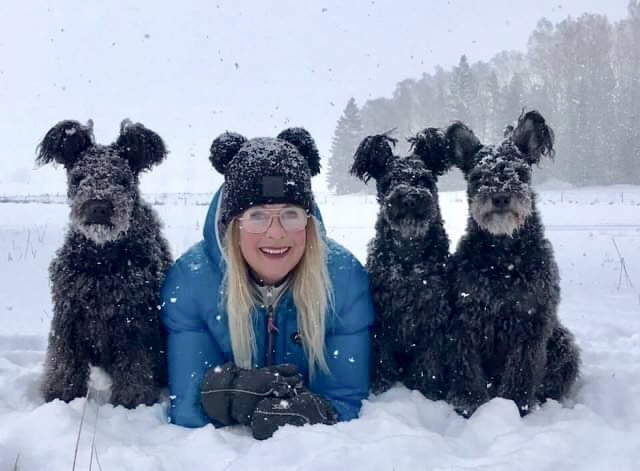 Så får du en mer harmonisk hund bild 4