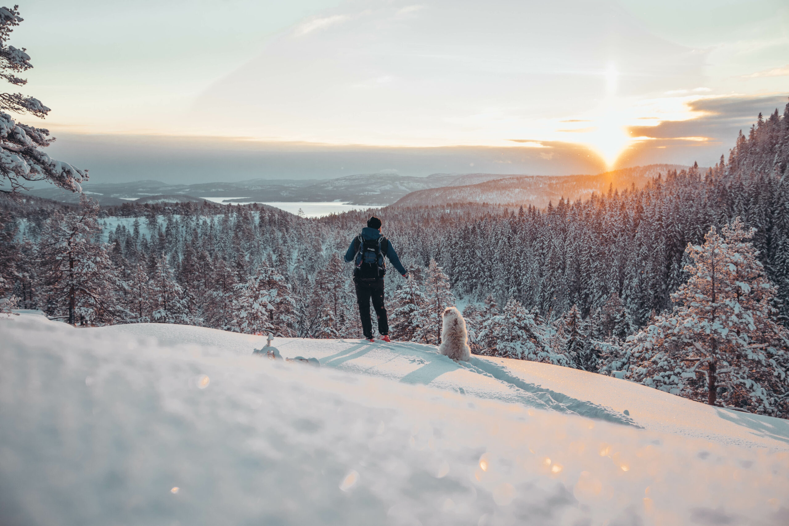 Vackra världsarvet Höga Kusten är ett måste om du söker naturupplevelser på riktigt hög nivå bild 7