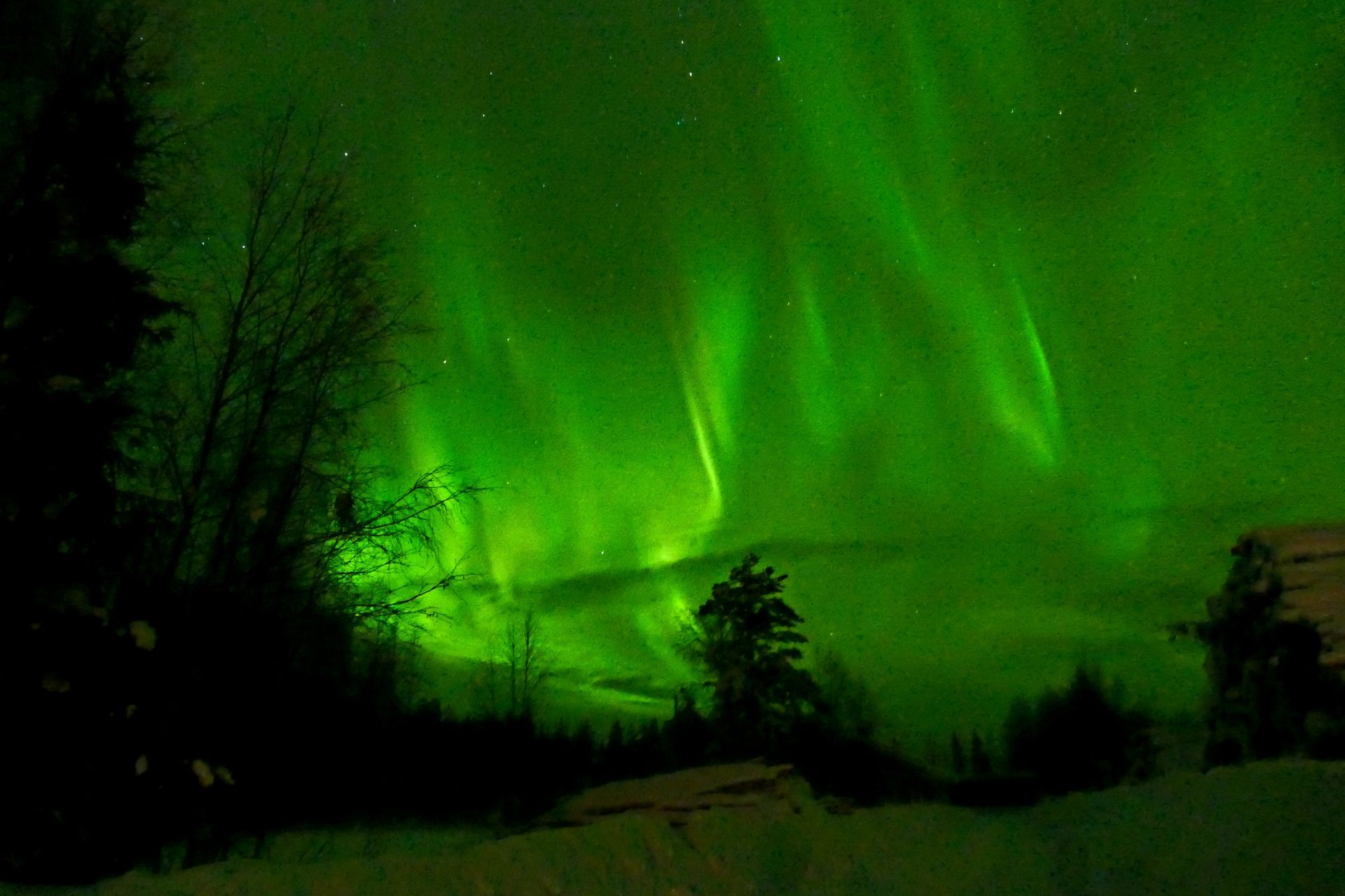 Upplev Lapplands vildmark med Wilderness Life bild 7