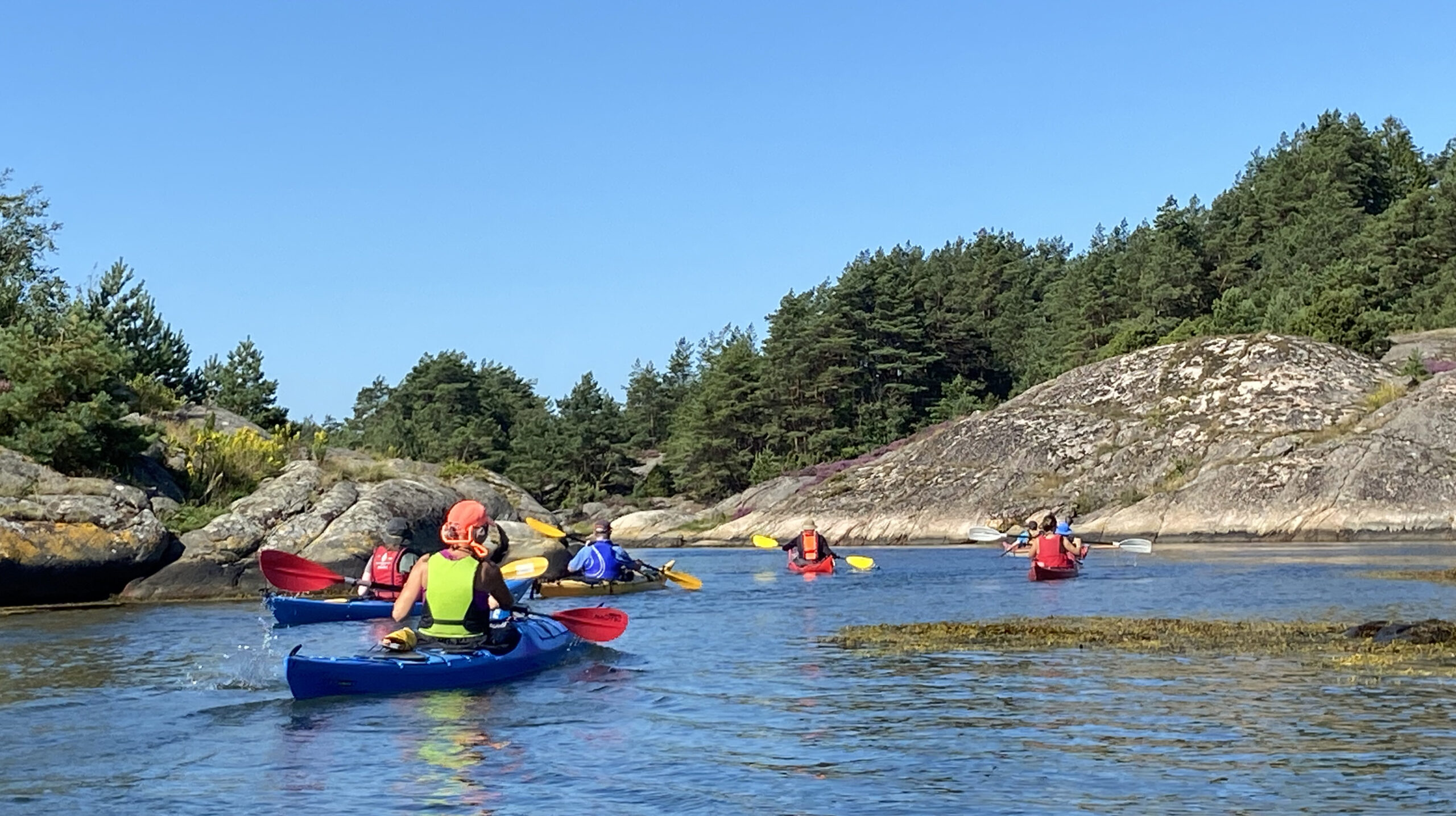 Nyfiken på vad som döljer sig i havet? bild 7