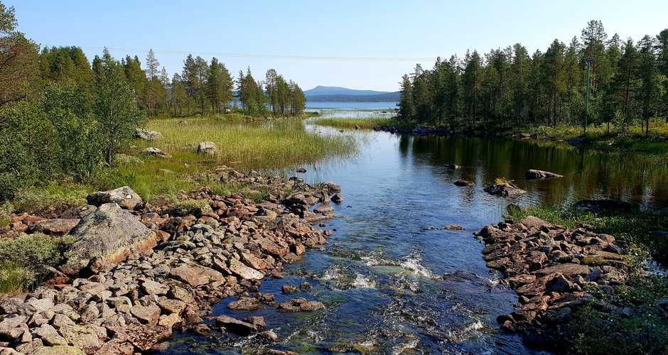 Upplev Lapplands vildmark med Wilderness Life bild 5