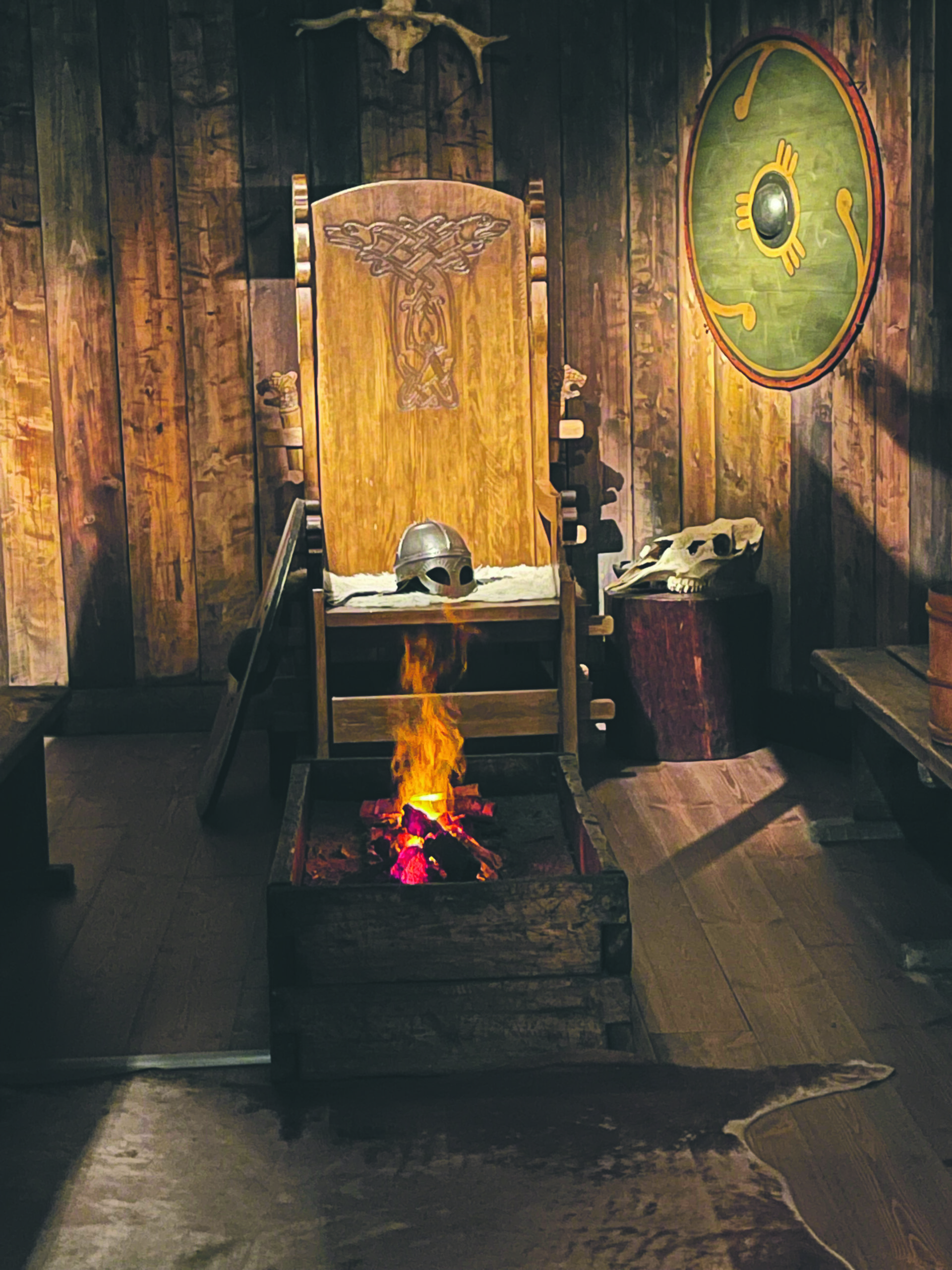 The Viking Museum bild 2