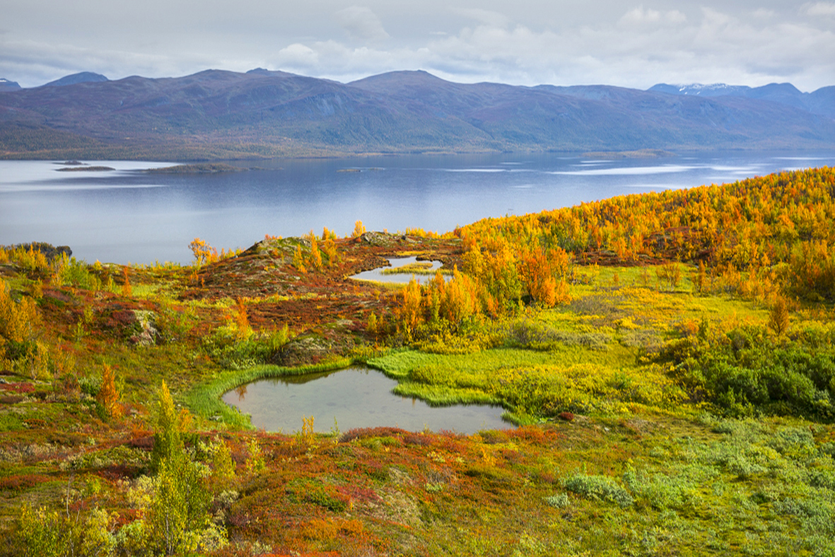 Abisko Guesthouse bild 2