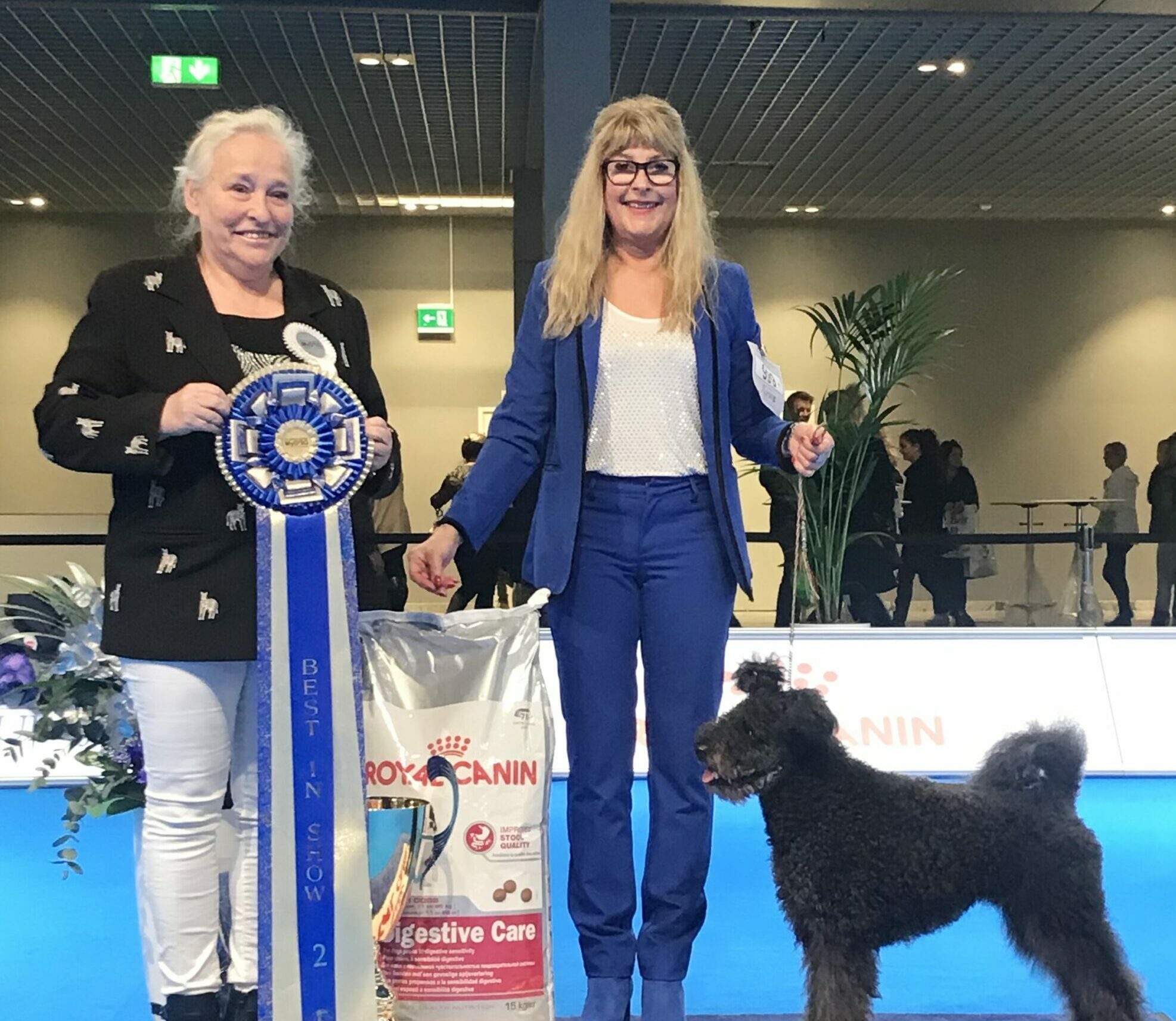 Så får du en mer harmonisk hund bild 2