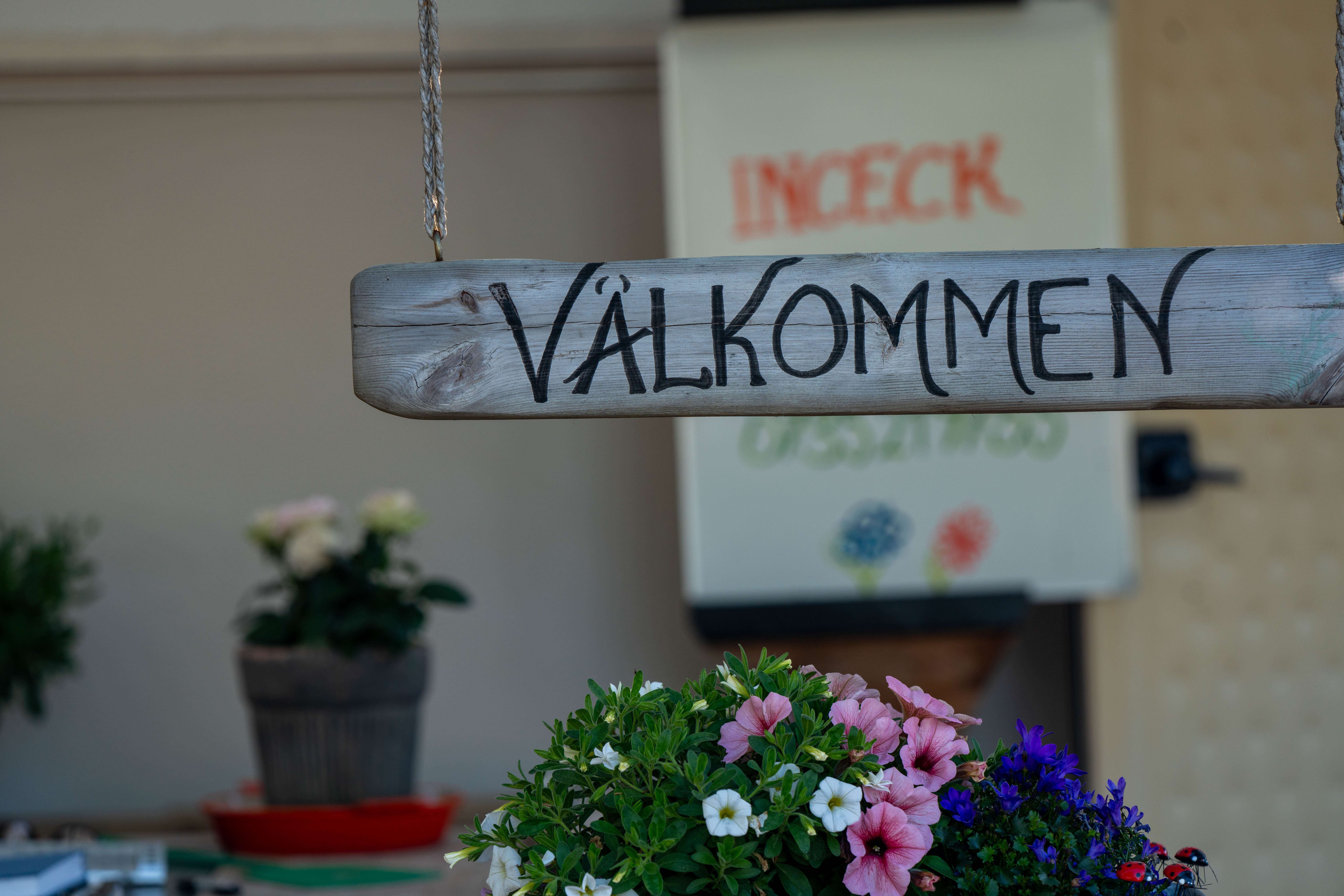 Naturskön camping med sjöutsikt men ändå nära stadslivet bild 2