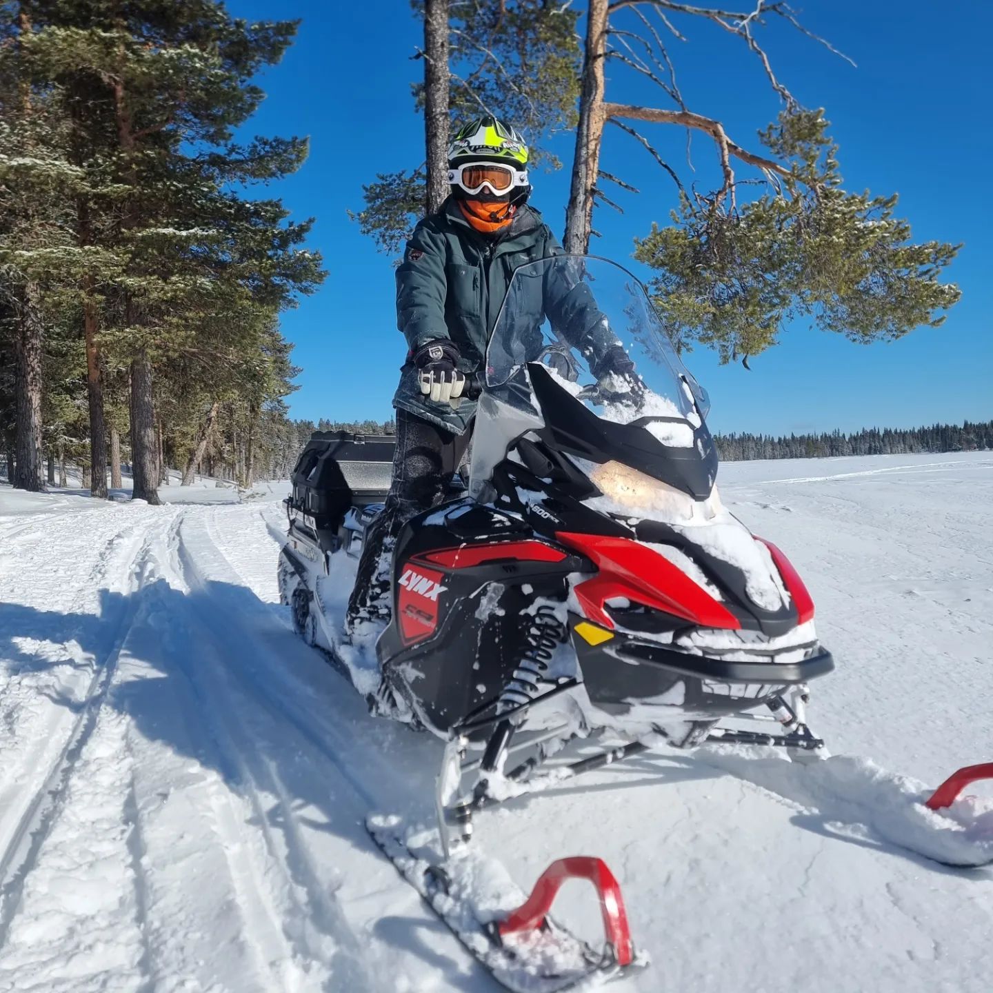 Upplev Lapplands vildmark med Wilderness Life bild 3