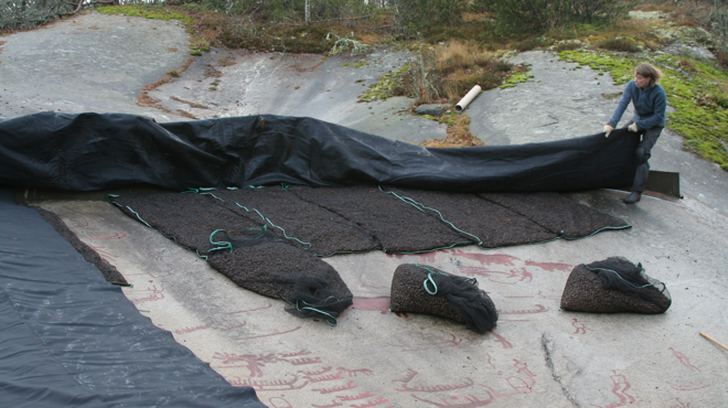 Upplev Bronsåldern på Vitlycke museum bild 4