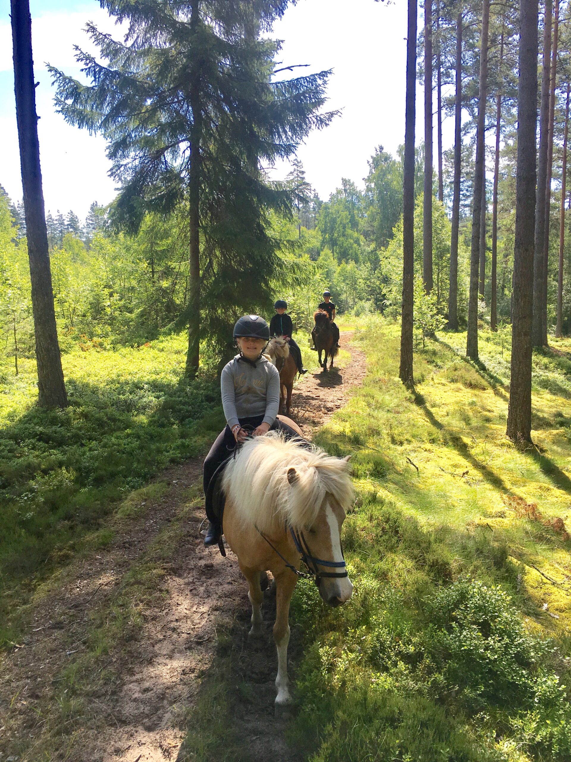 Upplev Kyrkekvarn och låt äventyret börja bild 3