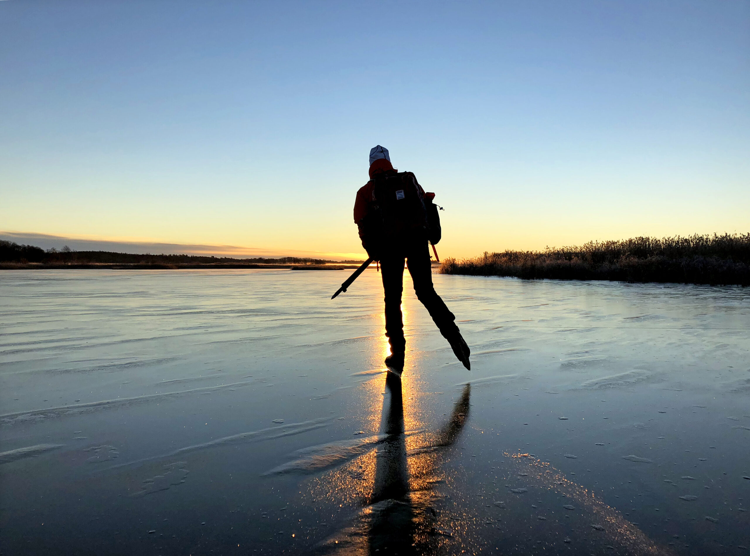 Upplev aktiviteter året om på äventyrsön i Västerås bild 10