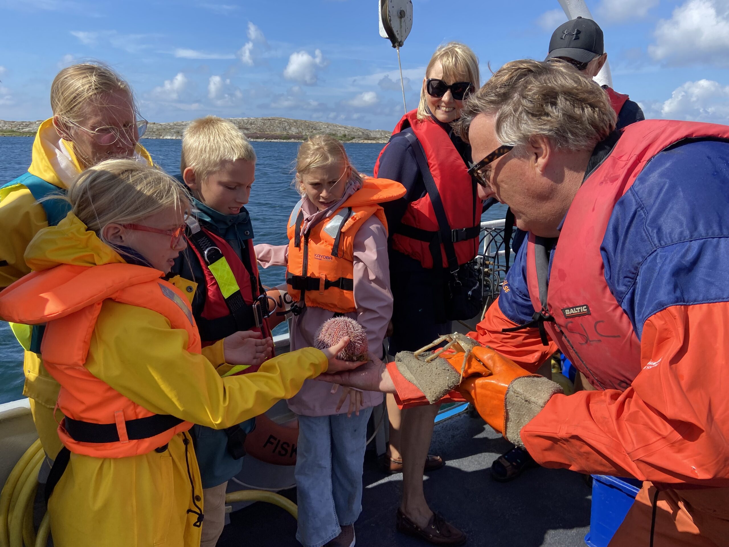 Nyfiken på vad som döljer sig i havet? bild 4