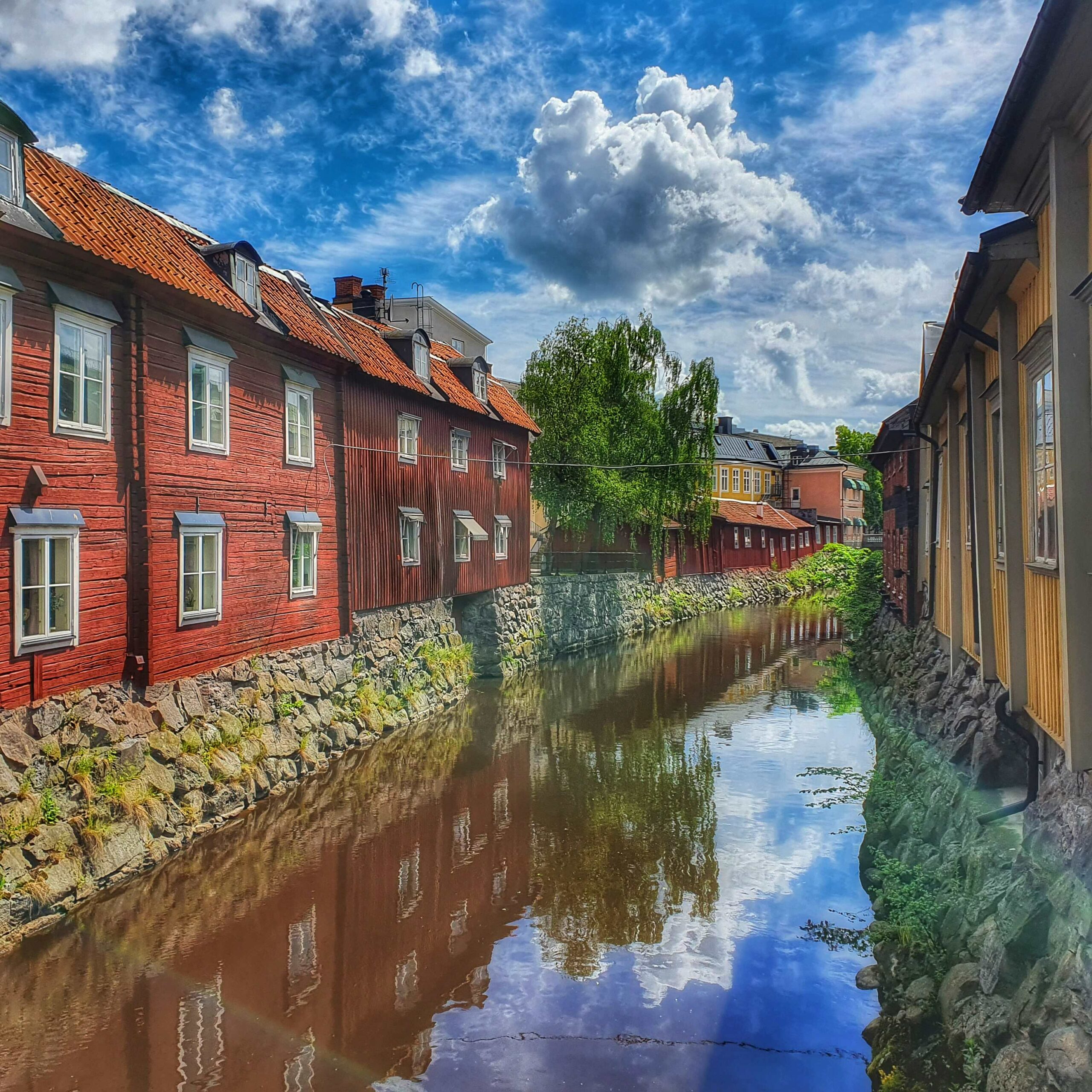 Upplev din egen stad med Den gröna guiden bild 8