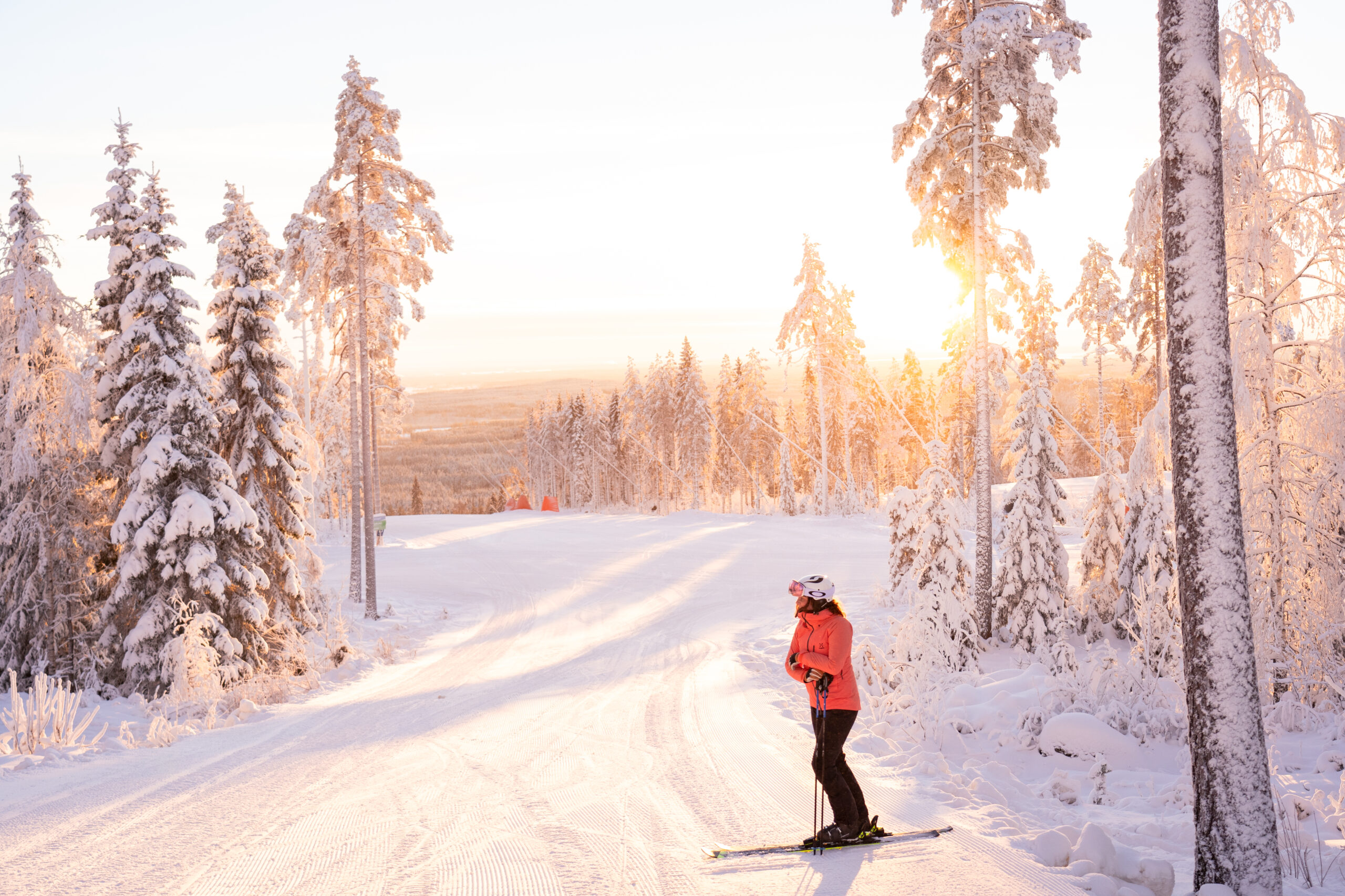 Fjällen har aldrig varit närmare bild 4