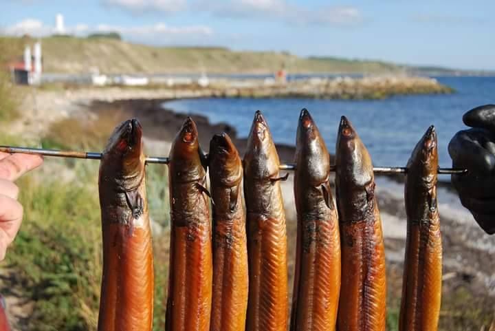 Havets delikatesser på Kåseberga Fisk