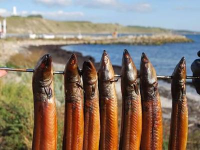 Havets delikatesser på Kåseberga Fisk