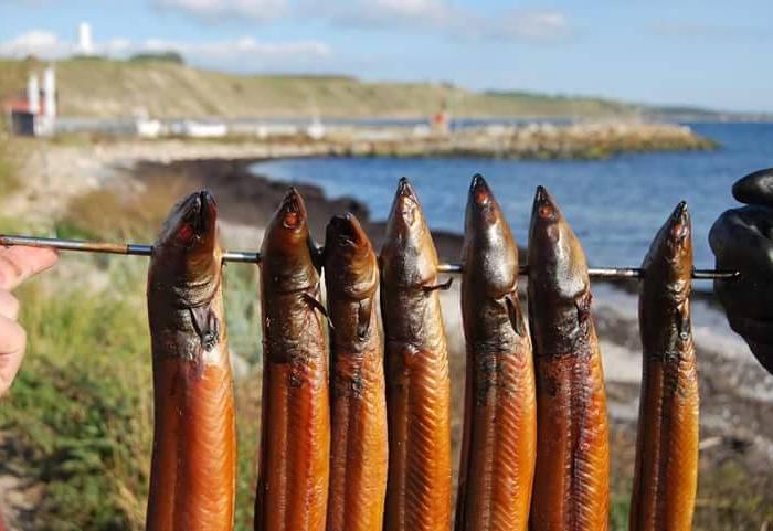 Havets delikatesser på Kåseberga Fisk