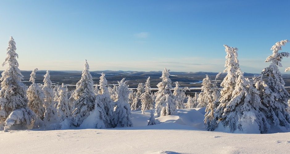 Upplev Lapplands vildmark med Wilderness Life