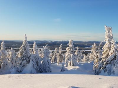 Upplev Lapplands vildmark med Wilderness Life