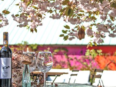 Vingården är en välbesökt destination i världsklass