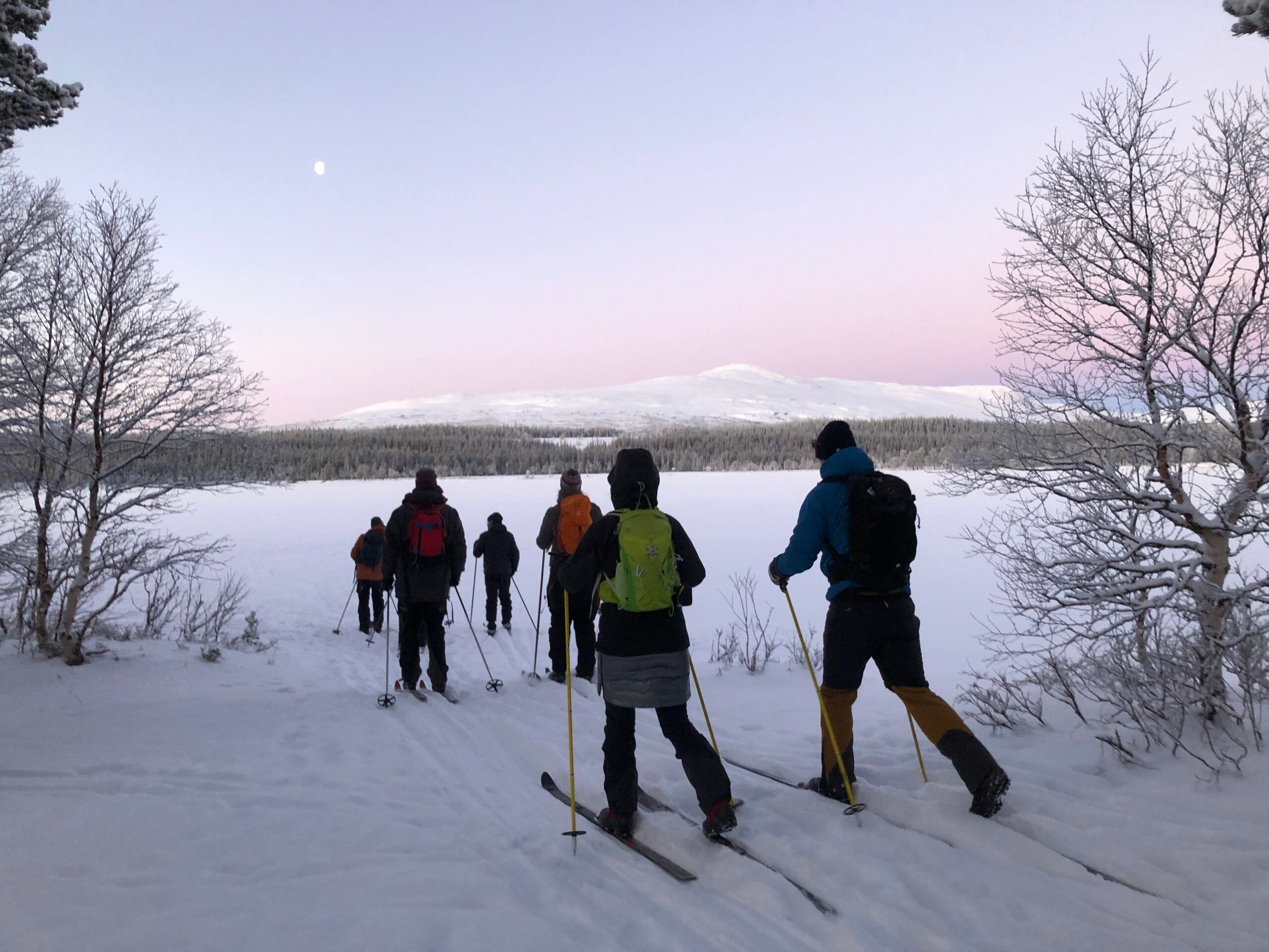 Med nyfikenhet på naturen