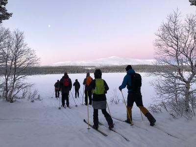 Med nyfikenhet på naturen