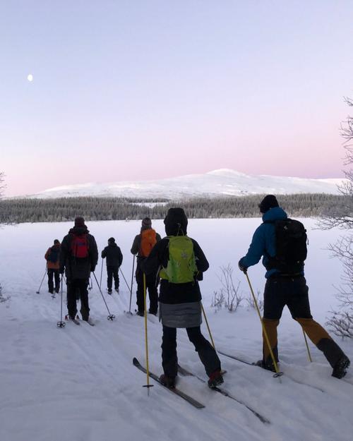 Med nyfikenhet på naturen