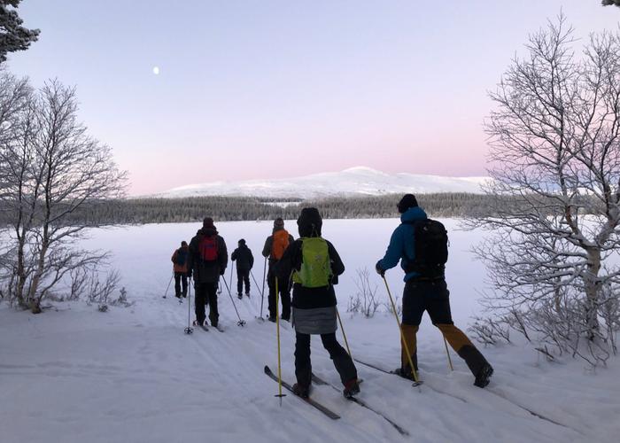 Med nyfikenhet på naturen