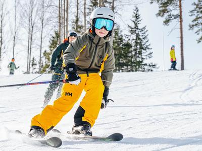 Fjällen har aldrig varit närmare