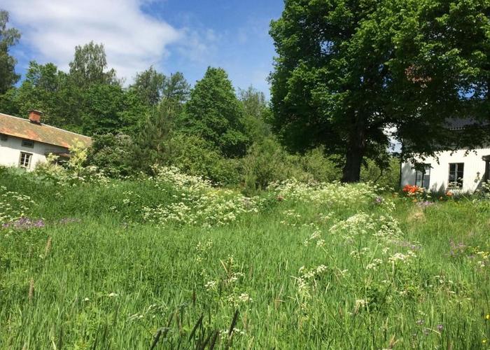 En poetisk värld av dans, bildkonst, film och musik