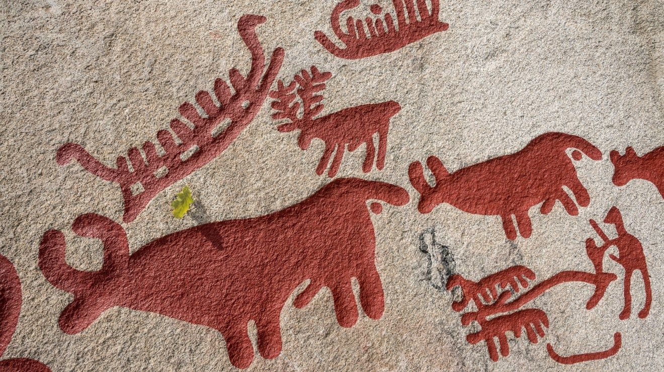 Upplev Bronsåldern på Vitlycke museum
